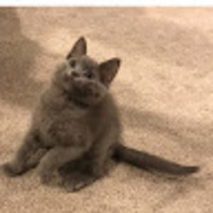 Meet your Posher, Duane